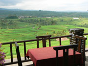 Enjoy the meals while viewing rice terrace