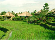 Villa Bintang