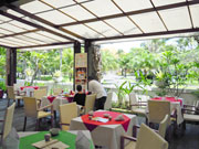 Enjoy Delicious Food and Feel Nature Breeze.