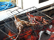 Special grilled seafood