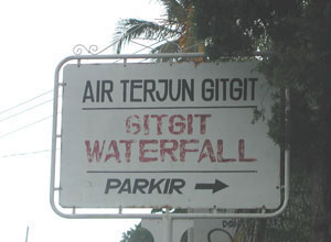 Bali Sightseeing Air Terjun Gitgit5