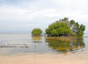 Lembongan Island１