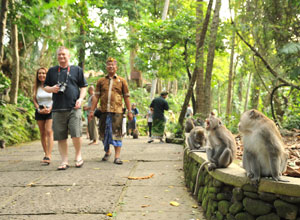 Bali Sightseeing Monkey Forest　Forest2