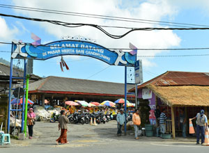 Bali sightseeing Pasar Bedugul4