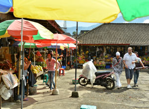 Bali sightseeing Pasar Bedugul6