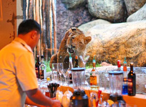 Lion Restaurant