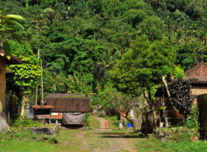 Bali sightseeing Tenganan village1
