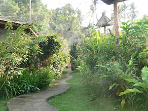 Bali Butterfly Park1