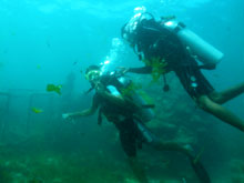 バリ島 5in1パッケージランチ 体験ダイビング
