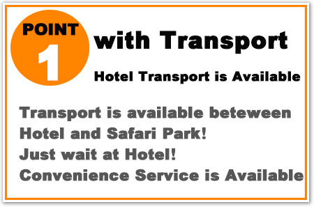 Transport between hotel and Bali trail is available! Just wait at hotel! Its Convenience service!