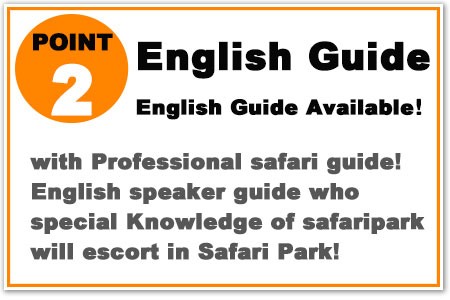 with Professional safari guide! English speaker guide will escort in Safari Park!