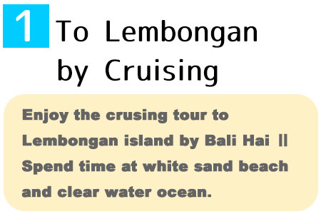 Enjoy the crusing tour to Lembongan island by Bali Hai. Spend time under the blue sky and clear water ocean.