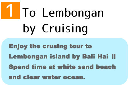 Enjoy the crusing tour to Lembongan island by Bali Hai. Spend time at white sand beach and clear water ocean.