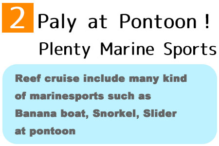 Reef cruise include many kind of marinesports such as Banana boat, Snorkel, Slider at pontoon