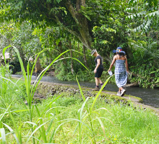 Trekking aroud simple view of Balinese village!image