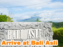 Arrive at Bali Asli