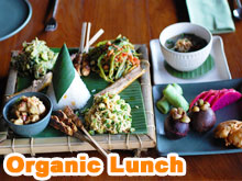 Organic Lunch