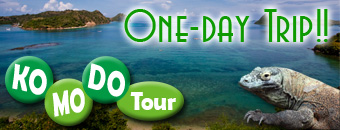 Komodo island tour image