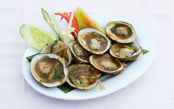 Clams Oyster Sauce