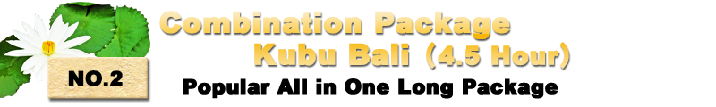 Combination package kubu bali