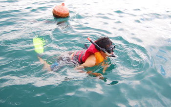 snorkel image
