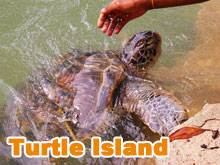 turtle island