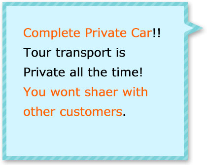 You wont share with other customer! Its all private charter all day!