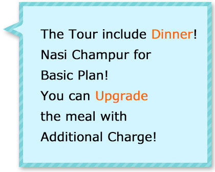 Tour with dinner! Popular Indonesian meal Nasi Champur for basic plan! You can upgrade with additional fee