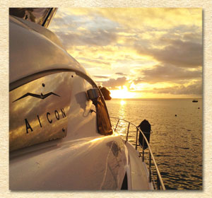 Full Enjoy Bali! Charter Boat Tour image