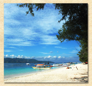 Lombok Trip! Let's go to Gili Island image