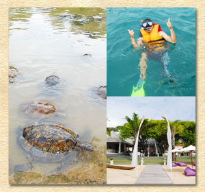  Free for Kids! Outdoor Education Island of Turtle with Snorkel Watermark image