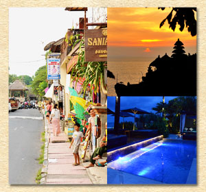Ubud Sightseeing/Tanah Lot/Mozaic Beachclub Luxury Tour image