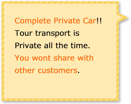 This tour transport is all private. You wont share with other customers.
