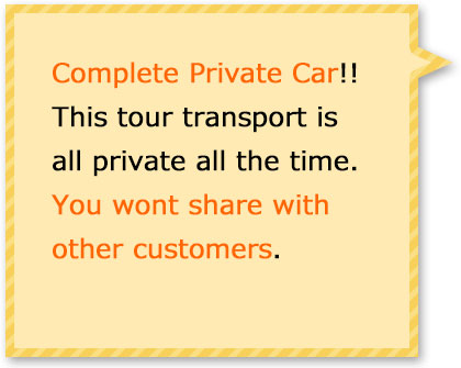 This tour transport is all private. You wont share with other customers.