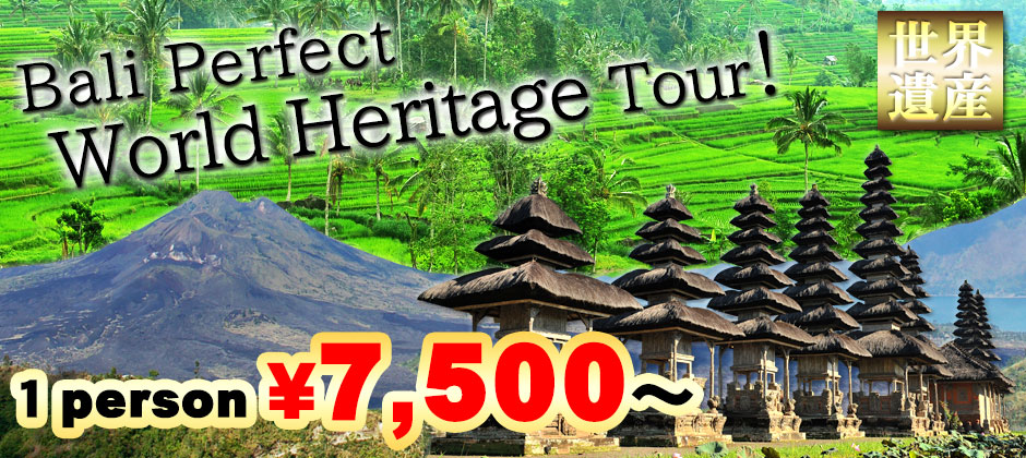 Bali perfect world heritage tour! Visit all world heritage spot in Bali! 1 person \7,500～