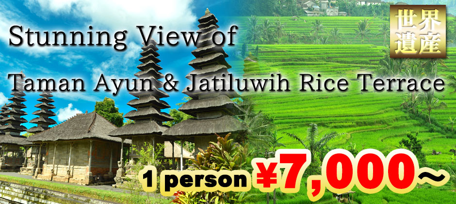 Bali World Heritage Tour Taman Ayun & Rice Terrace! Visit Taman Ayun Temple and Jatiluwih rice terrace! 1 person \7,000～