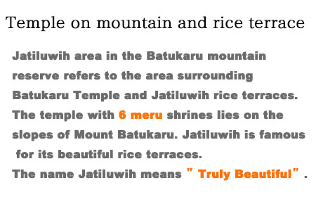 Jatiluwih area in the Batukaru mountain reserve refers to the area surrounding Batukaru Temple and Jatiluwih rice terraces. It is located approximately an hour drive from Ubud. Batukaru Temple was built in the period of Tabanan kingdom. 