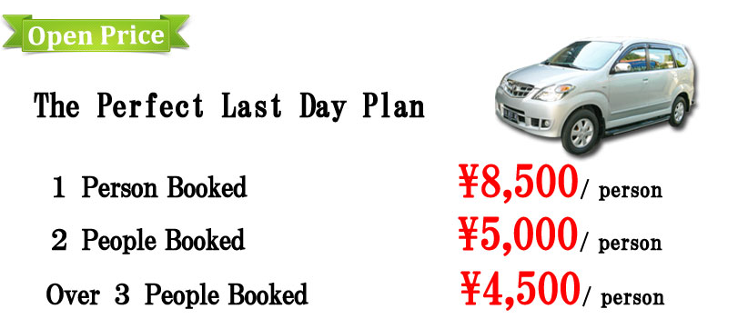 Last Day Plan Price