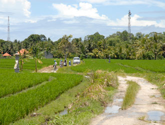 Rice Terrace Road