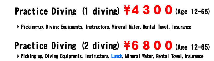Practice Diving (1 diving)  (2 diving)