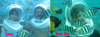 underwater photography in Sanur and Nusa dua