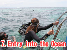 Entry into the Ocean