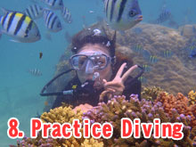 Practice Diving