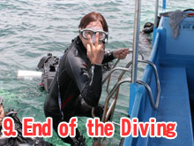 End of the Diving