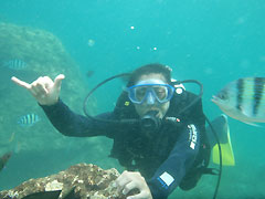 Diving Photo