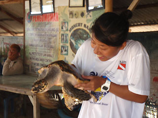 With Turtle