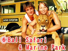 Bali Safari&Marine Park