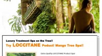 HIRO-Chan Popular Spa Mango Tree Spa OPEN!!! Popular Spa Mango Tree spa ! As its name suggests their treatment...