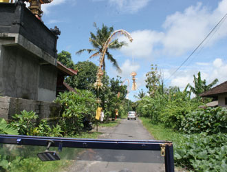 Bali desa