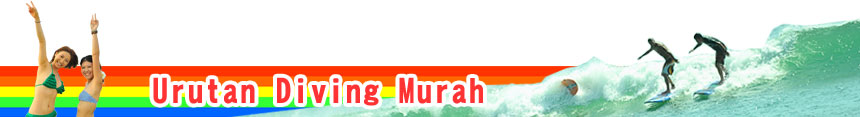 Urutan Diving Murah